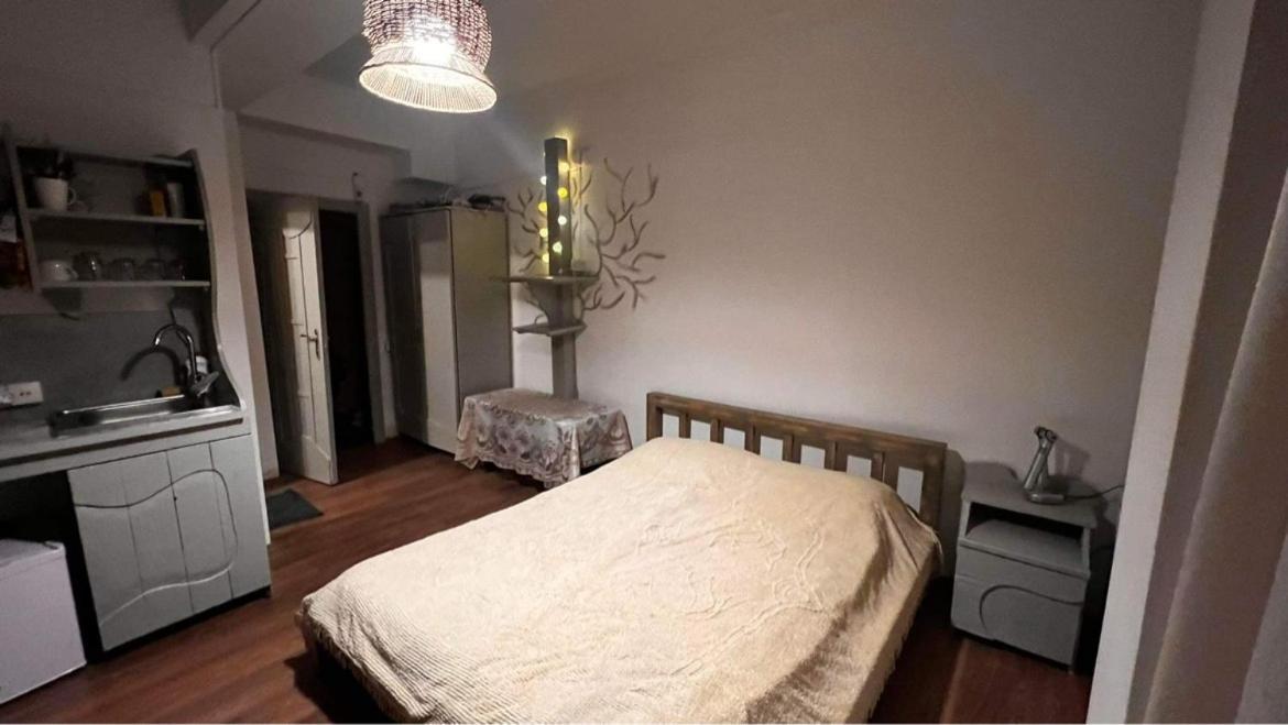 Hotel Mgzavrebi Bakuriani Dış mekan fotoğraf